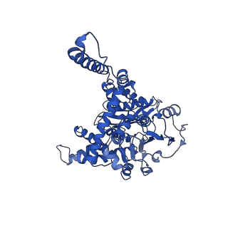 6630_3jcz_E_v1-3
Structure of bovine glutamate dehydrogenase in the unliganded state