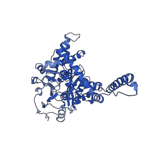 6630_3jcz_F_v1-2
Structure of bovine glutamate dehydrogenase in the unliganded state