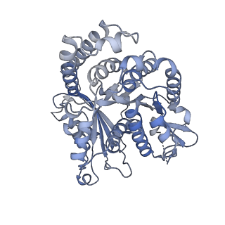 8150_5jco_A_v1-5
Structure and dynamics of single-isoform recombinant neuronal human tubulin