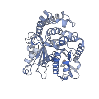8150_5jco_B_v1-4
Structure and dynamics of single-isoform recombinant neuronal human tubulin