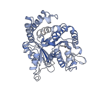 8150_5jco_C_v1-4
Structure and dynamics of single-isoform recombinant neuronal human tubulin
