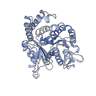 8150_5jco_C_v1-5
Structure and dynamics of single-isoform recombinant neuronal human tubulin