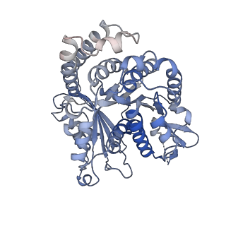 8150_5jco_E_v1-4
Structure and dynamics of single-isoform recombinant neuronal human tubulin