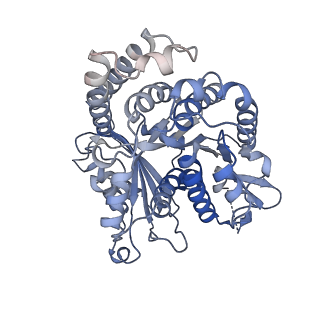 8150_5jco_E_v1-5
Structure and dynamics of single-isoform recombinant neuronal human tubulin