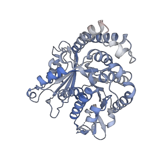 8150_5jco_F_v1-4
Structure and dynamics of single-isoform recombinant neuronal human tubulin