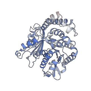 8150_5jco_F_v1-5
Structure and dynamics of single-isoform recombinant neuronal human tubulin