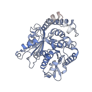 8150_5jco_G_v1-4
Structure and dynamics of single-isoform recombinant neuronal human tubulin
