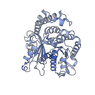 8150_5jco_H_v1-5
Structure and dynamics of single-isoform recombinant neuronal human tubulin