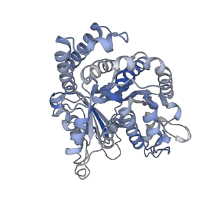 8150_5jco_I_v1-4
Structure and dynamics of single-isoform recombinant neuronal human tubulin