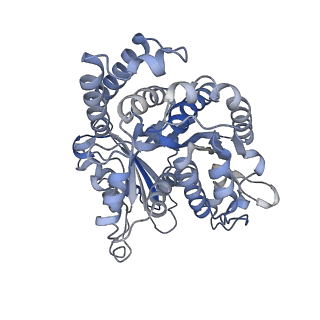 8150_5jco_I_v1-5
Structure and dynamics of single-isoform recombinant neuronal human tubulin