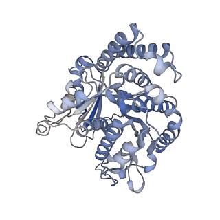8150_5jco_J_v1-4
Structure and dynamics of single-isoform recombinant neuronal human tubulin