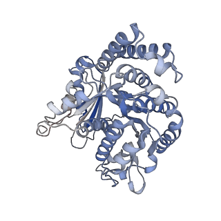 8150_5jco_J_v1-5
Structure and dynamics of single-isoform recombinant neuronal human tubulin