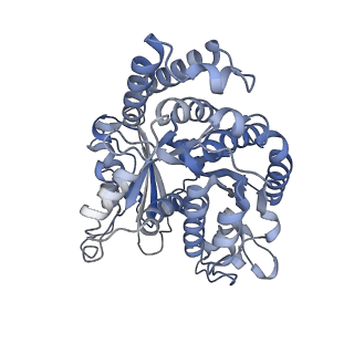 8150_5jco_K_v1-4
Structure and dynamics of single-isoform recombinant neuronal human tubulin