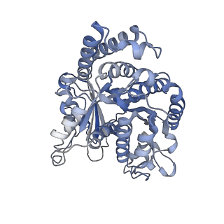 8150_5jco_K_v1-5
Structure and dynamics of single-isoform recombinant neuronal human tubulin