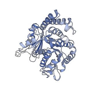 8150_5jco_L_v1-4
Structure and dynamics of single-isoform recombinant neuronal human tubulin