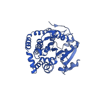 9798_6jcv_A_v1-2
Cryo-EM structure of Sulfolobus solfataricus ketol-acid reductoisomerase (Sso-KARI) with Mg2+ at pH7.5