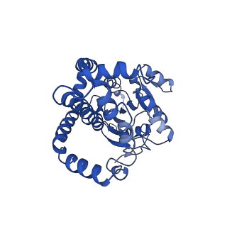 9798_6jcv_B_v1-2
Cryo-EM structure of Sulfolobus solfataricus ketol-acid reductoisomerase (Sso-KARI) with Mg2+ at pH7.5