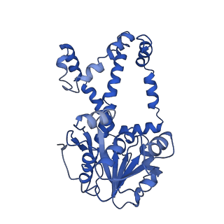 9798_6jcv_C_v1-1
Cryo-EM structure of Sulfolobus solfataricus ketol-acid reductoisomerase (Sso-KARI) with Mg2+ at pH7.5