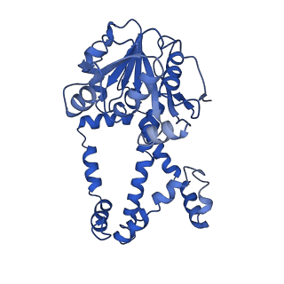 9798_6jcv_D_v1-2
Cryo-EM structure of Sulfolobus solfataricus ketol-acid reductoisomerase (Sso-KARI) with Mg2+ at pH7.5