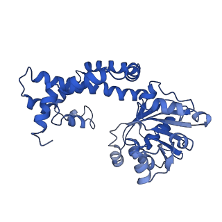 9798_6jcv_E_v1-2
Cryo-EM structure of Sulfolobus solfataricus ketol-acid reductoisomerase (Sso-KARI) with Mg2+ at pH7.5