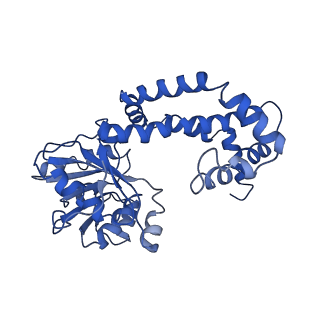 9798_6jcv_F_v1-1
Cryo-EM structure of Sulfolobus solfataricus ketol-acid reductoisomerase (Sso-KARI) with Mg2+ at pH7.5