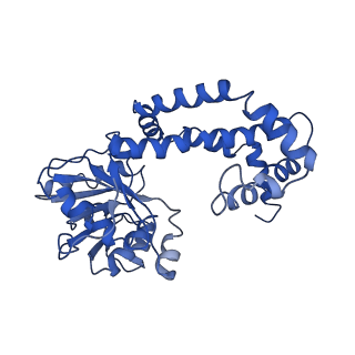 9798_6jcv_F_v1-2
Cryo-EM structure of Sulfolobus solfataricus ketol-acid reductoisomerase (Sso-KARI) with Mg2+ at pH7.5