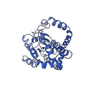 9798_6jcv_G_v1-2
Cryo-EM structure of Sulfolobus solfataricus ketol-acid reductoisomerase (Sso-KARI) with Mg2+ at pH7.5