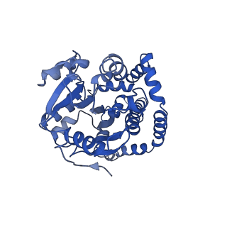 9798_6jcv_H_v1-2
Cryo-EM structure of Sulfolobus solfataricus ketol-acid reductoisomerase (Sso-KARI) with Mg2+ at pH7.5