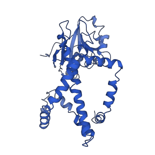 9798_6jcv_I_v1-2
Cryo-EM structure of Sulfolobus solfataricus ketol-acid reductoisomerase (Sso-KARI) with Mg2+ at pH7.5