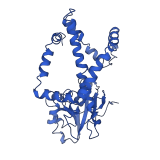 9798_6jcv_J_v1-2
Cryo-EM structure of Sulfolobus solfataricus ketol-acid reductoisomerase (Sso-KARI) with Mg2+ at pH7.5