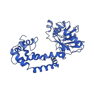 9798_6jcv_K_v1-2
Cryo-EM structure of Sulfolobus solfataricus ketol-acid reductoisomerase (Sso-KARI) with Mg2+ at pH7.5