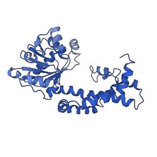 9798_6jcv_L_v1-2
Cryo-EM structure of Sulfolobus solfataricus ketol-acid reductoisomerase (Sso-KARI) with Mg2+ at pH7.5