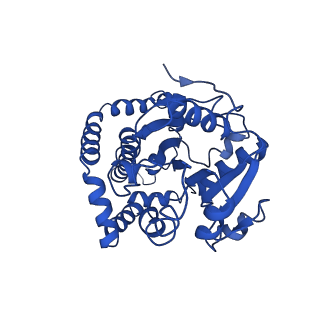 9799_6jcw_A_v1-1
Cryo-EM Structure of Sulfolobus solfataricus ketol-acid reductoisomerase (Sso-KARI) with Mg2+ at pH8.5