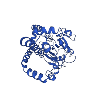 9799_6jcw_B_v1-2
Cryo-EM Structure of Sulfolobus solfataricus ketol-acid reductoisomerase (Sso-KARI) with Mg2+ at pH8.5