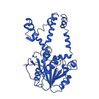 9799_6jcw_C_v1-2
Cryo-EM Structure of Sulfolobus solfataricus ketol-acid reductoisomerase (Sso-KARI) with Mg2+ at pH8.5