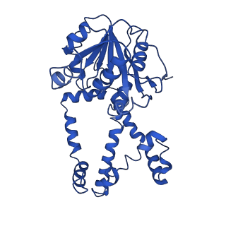 9799_6jcw_D_v1-1
Cryo-EM Structure of Sulfolobus solfataricus ketol-acid reductoisomerase (Sso-KARI) with Mg2+ at pH8.5