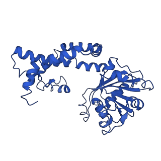 9799_6jcw_E_v1-2
Cryo-EM Structure of Sulfolobus solfataricus ketol-acid reductoisomerase (Sso-KARI) with Mg2+ at pH8.5
