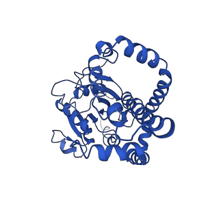 9799_6jcw_G_v1-2
Cryo-EM Structure of Sulfolobus solfataricus ketol-acid reductoisomerase (Sso-KARI) with Mg2+ at pH8.5