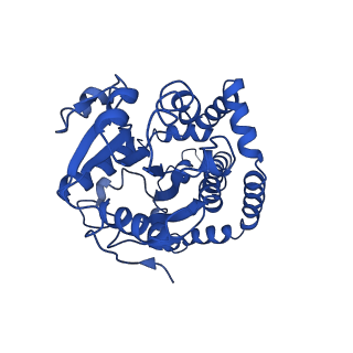 9799_6jcw_H_v1-2
Cryo-EM Structure of Sulfolobus solfataricus ketol-acid reductoisomerase (Sso-KARI) with Mg2+ at pH8.5