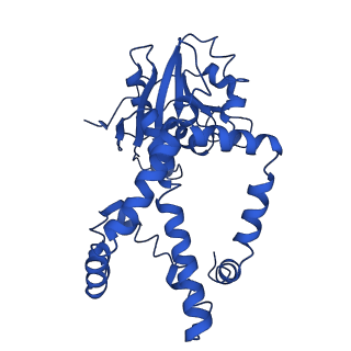9799_6jcw_I_v1-1
Cryo-EM Structure of Sulfolobus solfataricus ketol-acid reductoisomerase (Sso-KARI) with Mg2+ at pH8.5