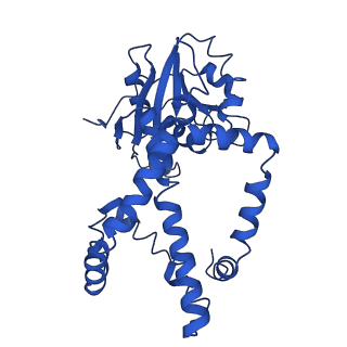 9799_6jcw_I_v1-2
Cryo-EM Structure of Sulfolobus solfataricus ketol-acid reductoisomerase (Sso-KARI) with Mg2+ at pH8.5