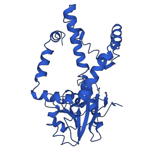 9799_6jcw_J_v1-2
Cryo-EM Structure of Sulfolobus solfataricus ketol-acid reductoisomerase (Sso-KARI) with Mg2+ at pH8.5