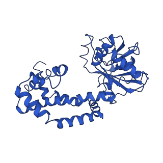 9799_6jcw_K_v1-2
Cryo-EM Structure of Sulfolobus solfataricus ketol-acid reductoisomerase (Sso-KARI) with Mg2+ at pH8.5