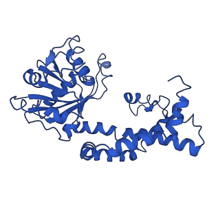 9799_6jcw_L_v1-1
Cryo-EM Structure of Sulfolobus solfataricus ketol-acid reductoisomerase (Sso-KARI) with Mg2+ at pH8.5