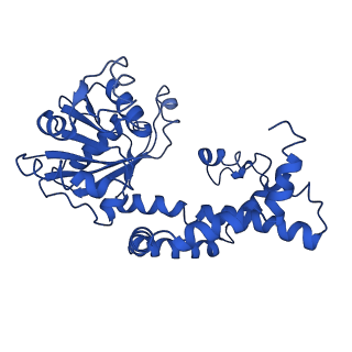 9799_6jcw_L_v1-2
Cryo-EM Structure of Sulfolobus solfataricus ketol-acid reductoisomerase (Sso-KARI) with Mg2+ at pH8.5