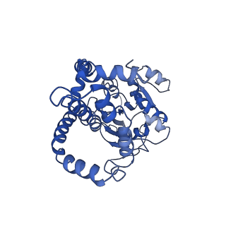 9800_6jcz_B_v1-1
Cryo-EM Structure of Sulfolobus solfataricus ketol-acid reductoisomerase (Sso-KARI) in complex with Mg2+, NADPH, and CPD at pH7.5