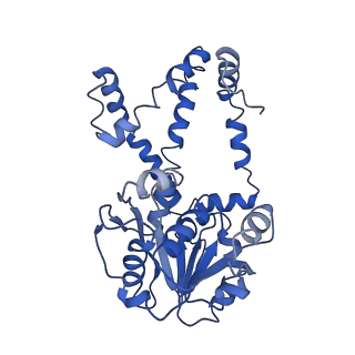 9800_6jcz_C_v1-1
Cryo-EM Structure of Sulfolobus solfataricus ketol-acid reductoisomerase (Sso-KARI) in complex with Mg2+, NADPH, and CPD at pH7.5