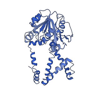 9800_6jcz_D_v1-1
Cryo-EM Structure of Sulfolobus solfataricus ketol-acid reductoisomerase (Sso-KARI) in complex with Mg2+, NADPH, and CPD at pH7.5