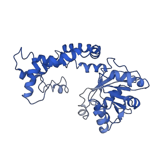 9800_6jcz_E_v1-1
Cryo-EM Structure of Sulfolobus solfataricus ketol-acid reductoisomerase (Sso-KARI) in complex with Mg2+, NADPH, and CPD at pH7.5