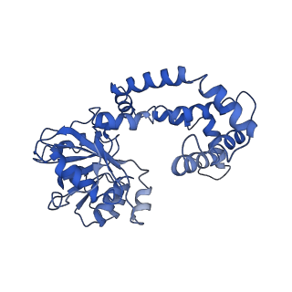 9800_6jcz_F_v1-1
Cryo-EM Structure of Sulfolobus solfataricus ketol-acid reductoisomerase (Sso-KARI) in complex with Mg2+, NADPH, and CPD at pH7.5